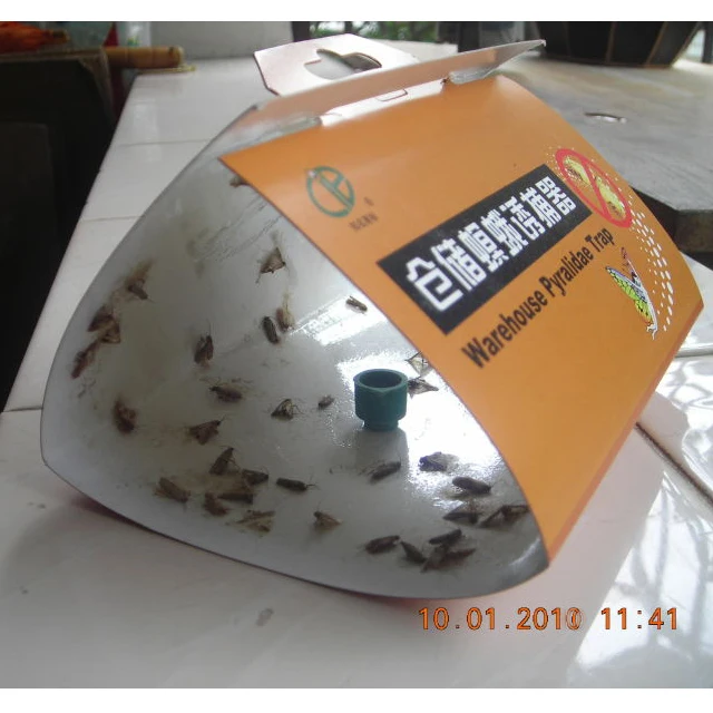 Paper warehouse pyralidae trap to control food moth cloth moth