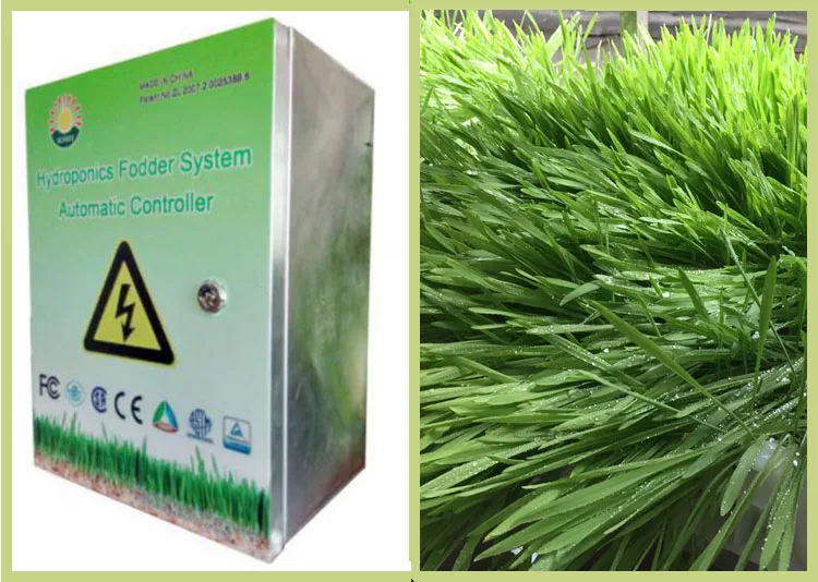 
Container Type Hydroponic Energy-saving Cattle And Sheep Fodder Growing Machine 