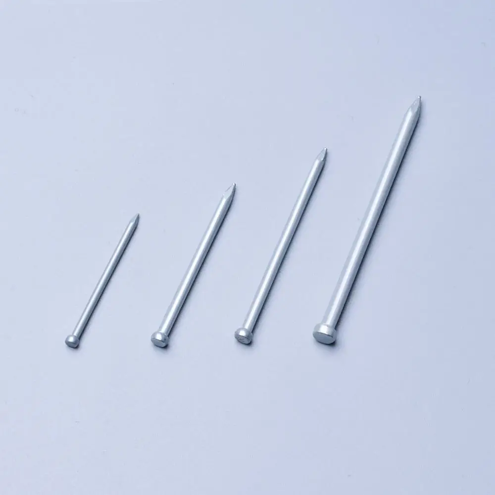 Shanfeng 170 Pieces Sizes Zinc Plated Concrete Household Nails