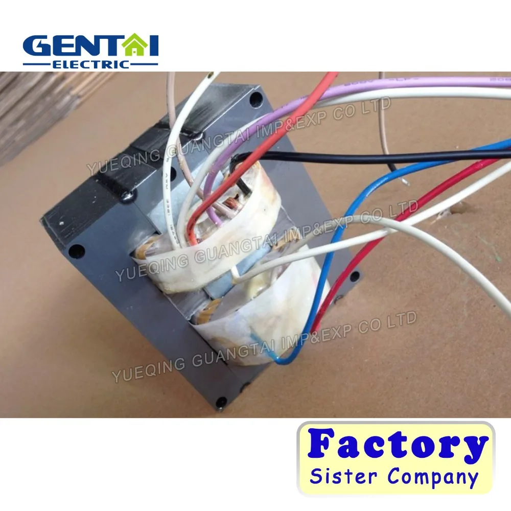 Lighting Ballast Factory HID Magnetic Ballast for Metal Halide Lamp High Pressure Sodium and Mercury Vapor Lamp Bulb