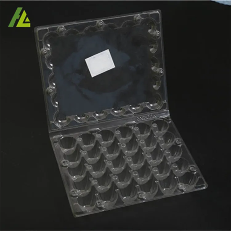Disposable Plastic Quail Egg Trays Packaging Box for Sale