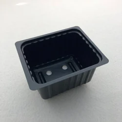 Succulent Microgreen Plant Growing disposable  Plastic Tray Box