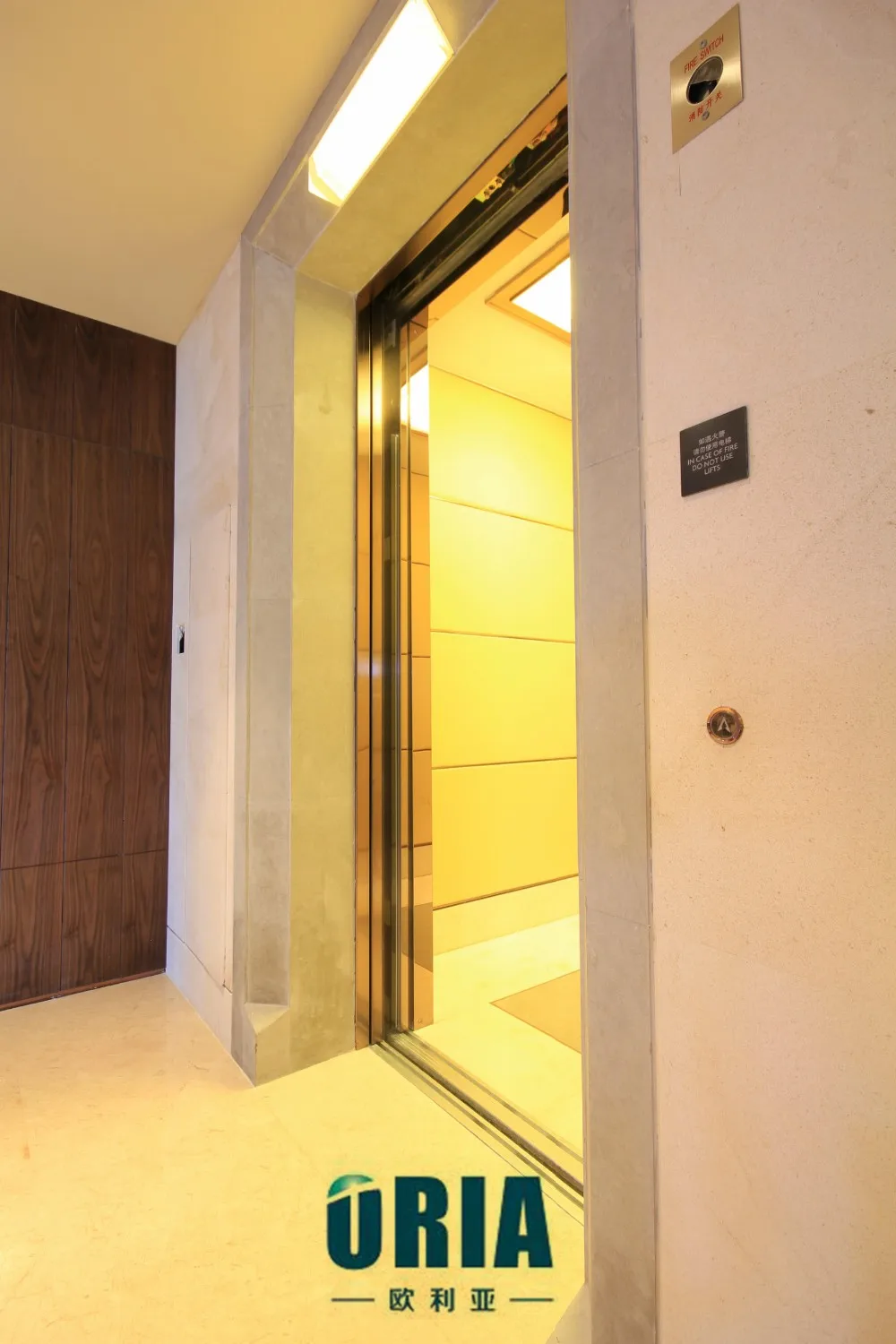 ORIA Modern Home Residential Elevator Mordenized Villa Elevator with Hydraulic and AC Drive for Outdoor Use V-19