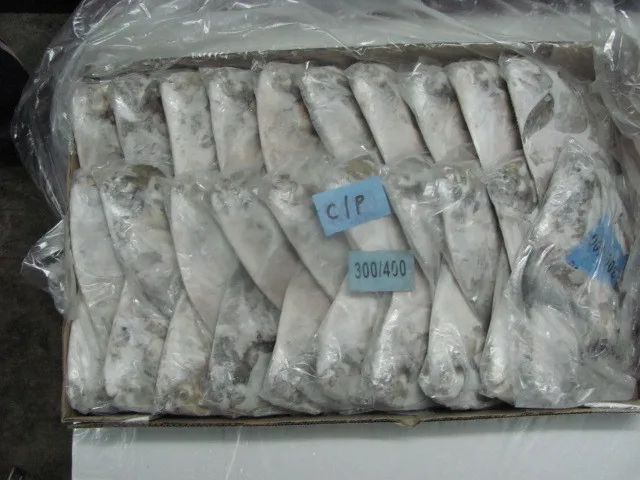 TOP SALE FROZEN CHINESE POMFRET IQF BULK QUANTITY AT CUSTOMIZED SPECIFICATION FISH SUPPLIER FROM INDIA
