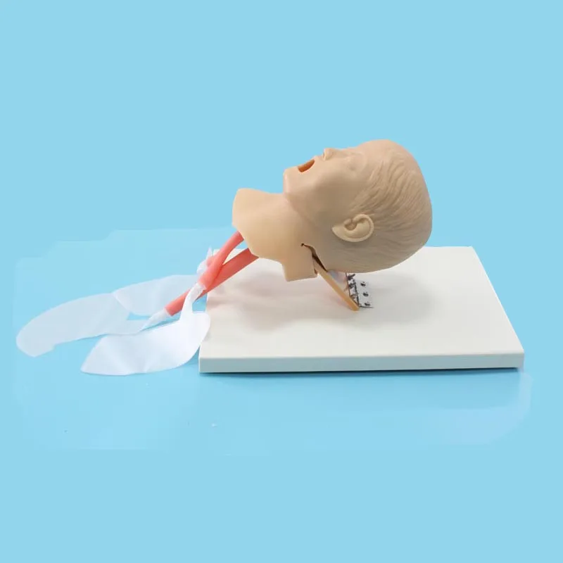 With Alarm Device Airway School Teaching Manikin Neonate Infant Trachea Mode ADA-j50 Classical Intubation Training Model