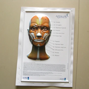 3d printing posters PVC poster with anatomical picture