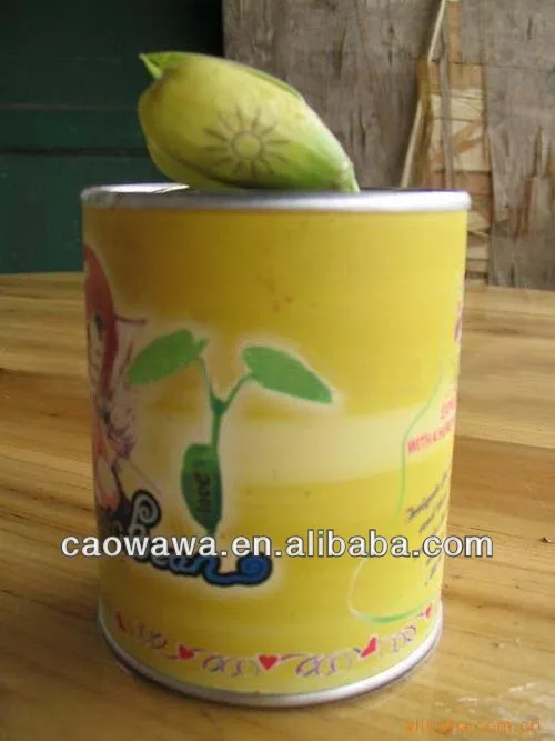 любовь драгоценных коробка