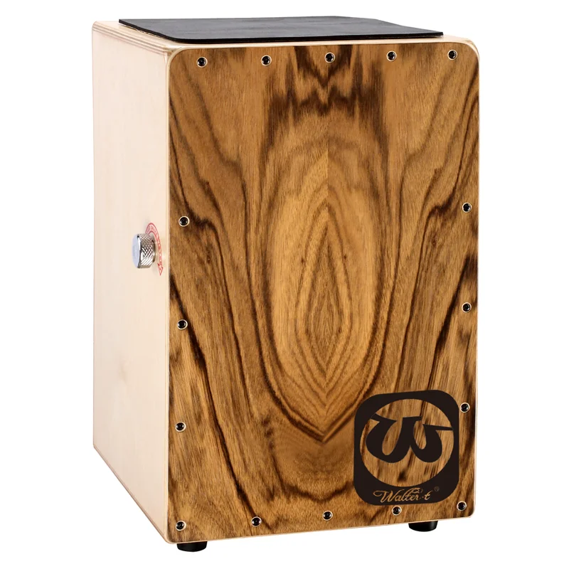 WR-501R excellent quality adult musical instrument