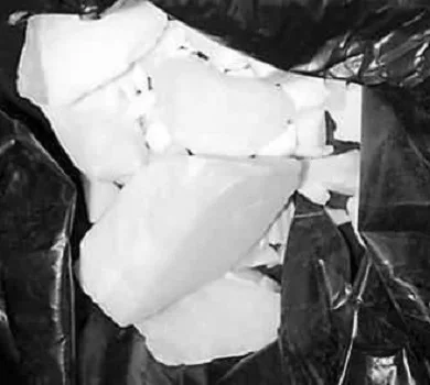 Sodium Formaldehyde Sulfoxylate(SFS) rongalite 98% cas 149-44-0