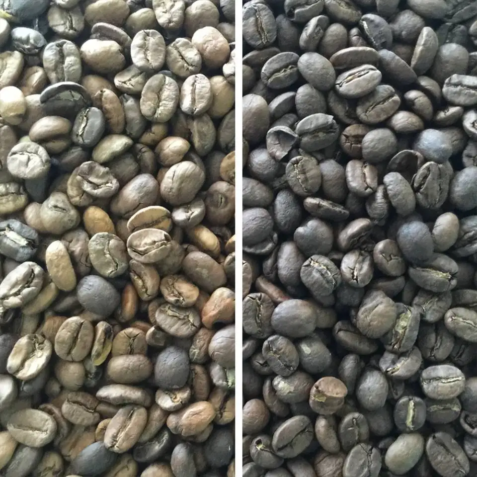 CCD optical kidney beans color sorter | kidney beans optical sorting and grading machine