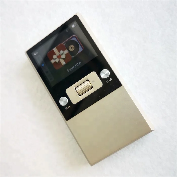 Professional DSD 128 hifi mp3 music player