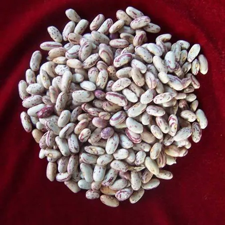 inner mongolia good quality sunflower seeds inner mongolia factory