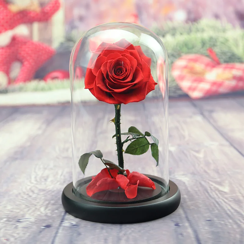 
2021 hot selling preserved long stem roses in glass dome for Valentines gift 