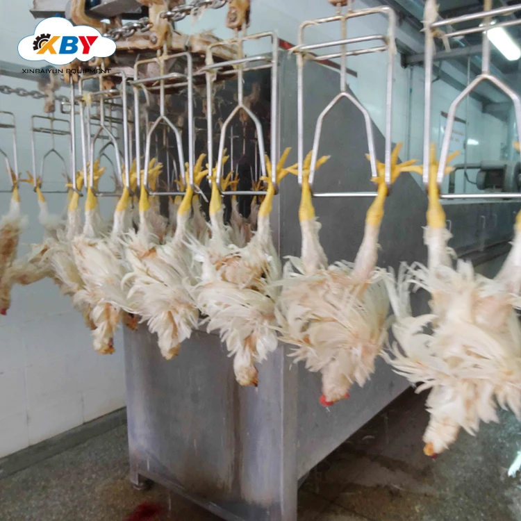 Super quality chicken plucker machine poultry slaughter processing plant