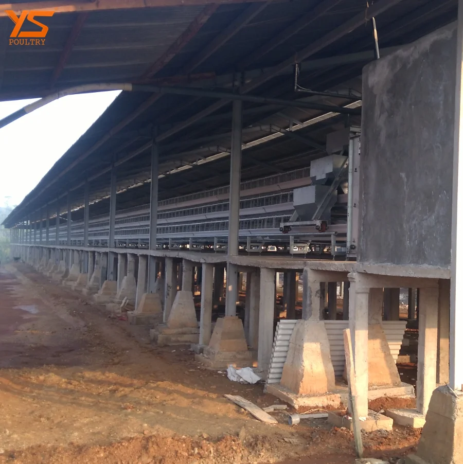 Automatic A Type Chicken Cage for 10000 Layer/Broiler/Pullet Chicken