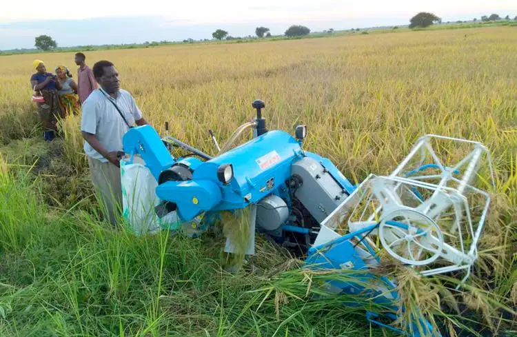 
Combine forage kubota harvester price in india/sri lanka 