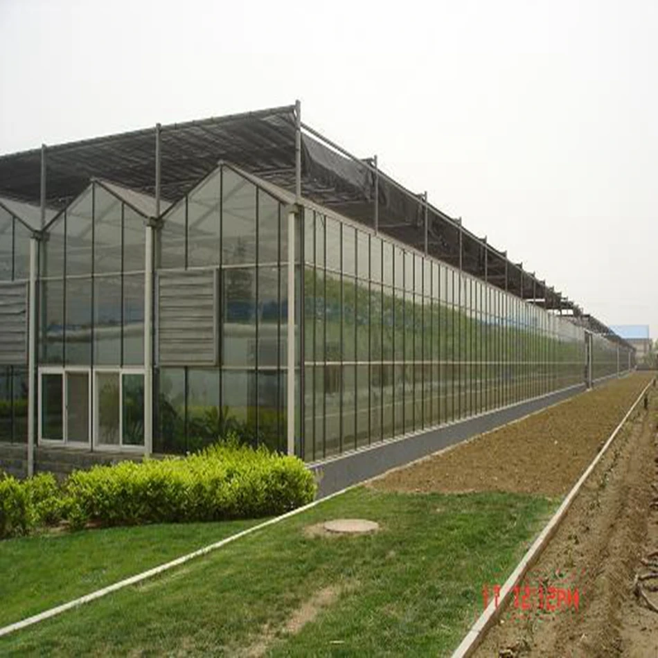Green glass green house multi-span light transmittance is high  growing vegetables
