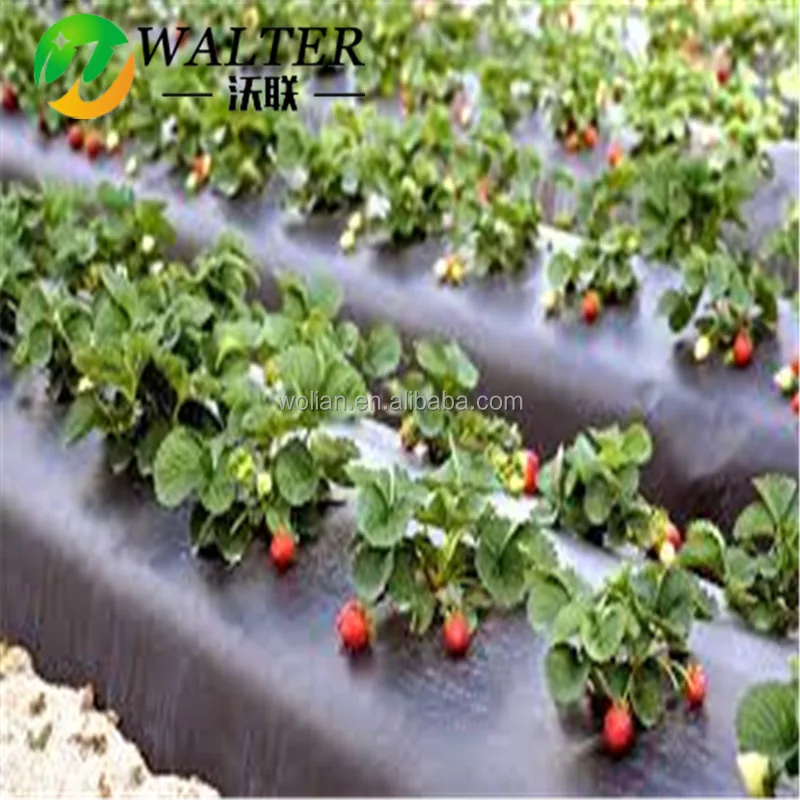 Лист из мульчирующей бумаги