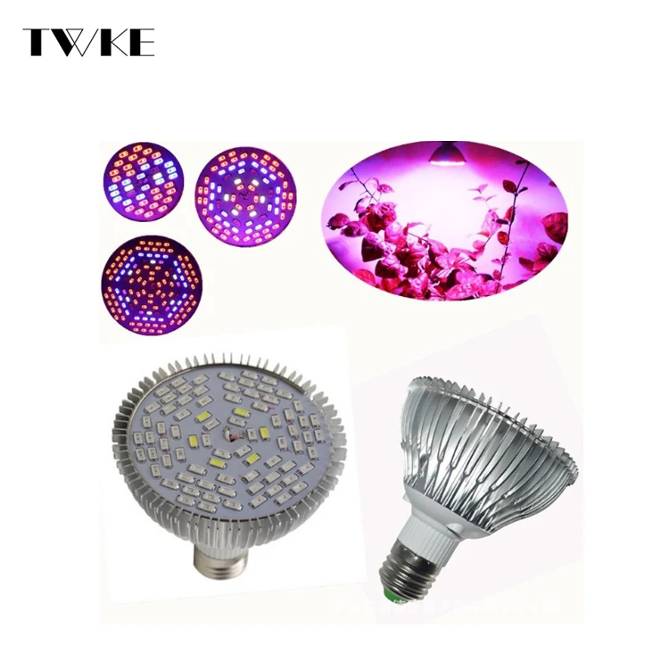 
E27 Par Light 50W Led Plant Grow Light Full Spectrum 