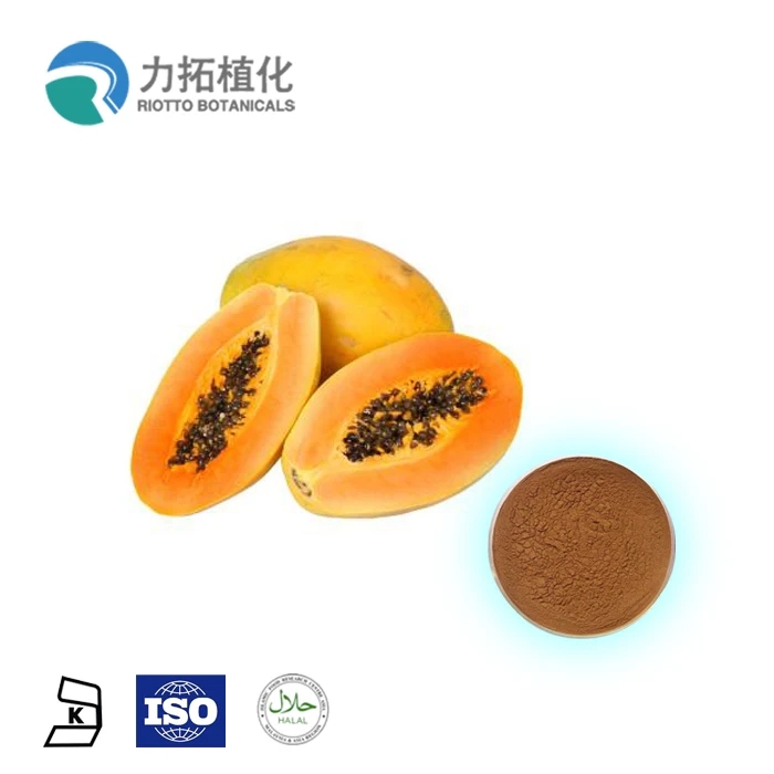 
Factory Hot Sell Papaya extract Powder Papaya Fruit Powder in big stocking 