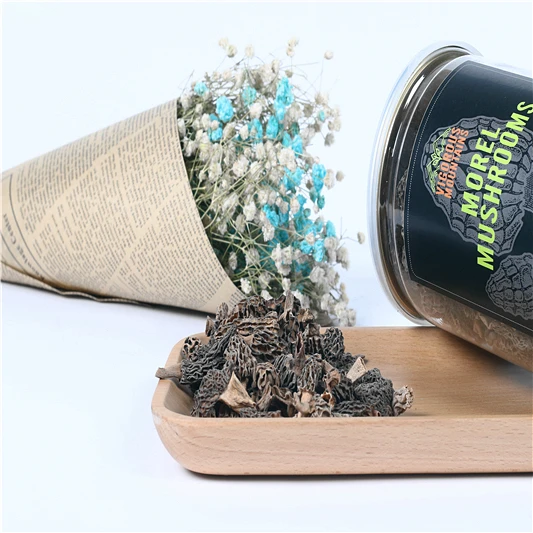 
Fresh morel mushroom price toadstool 