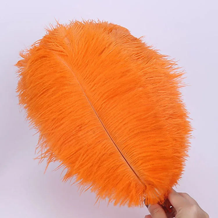 South Africa Factory Natural Cheap Color Ostrich Feather Wholesale