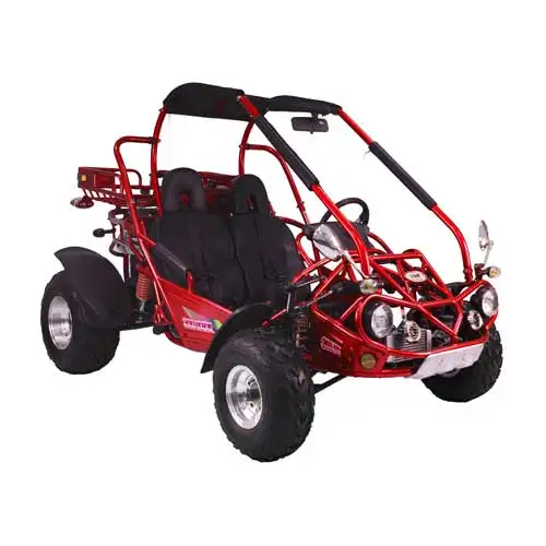 Off Road Beach Buggy 300cc Adventure Buggy