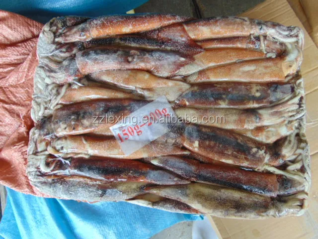 New Arrival High Quality Frozen Red Squid Loligo Bulk Style Packaging Color Feature Weight Shelf Origin Latin Type Life Variety