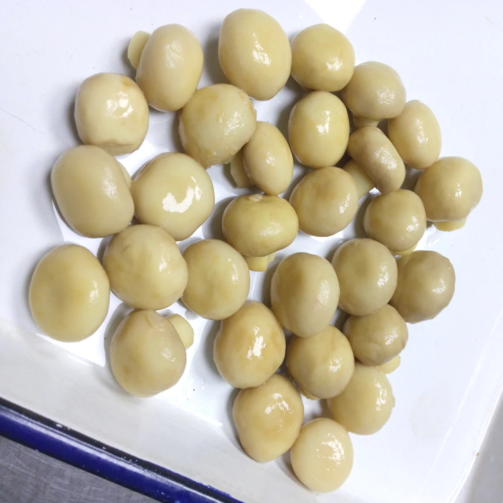 fresh white button mushroom in tin