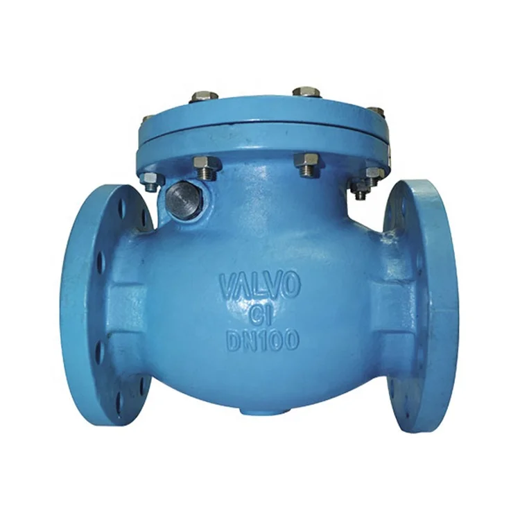 DN50-DN600mm material EN-GJL-250 BS F6 check valve