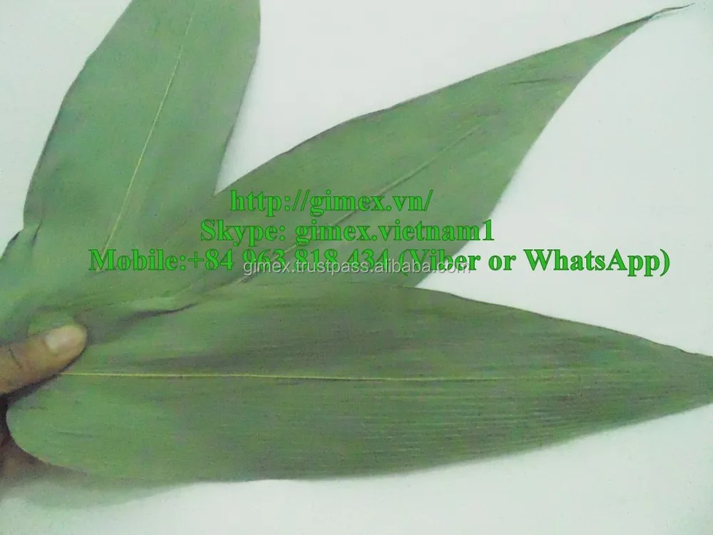 fresh and dry big size bamboo leaves for export CALL +84984418844