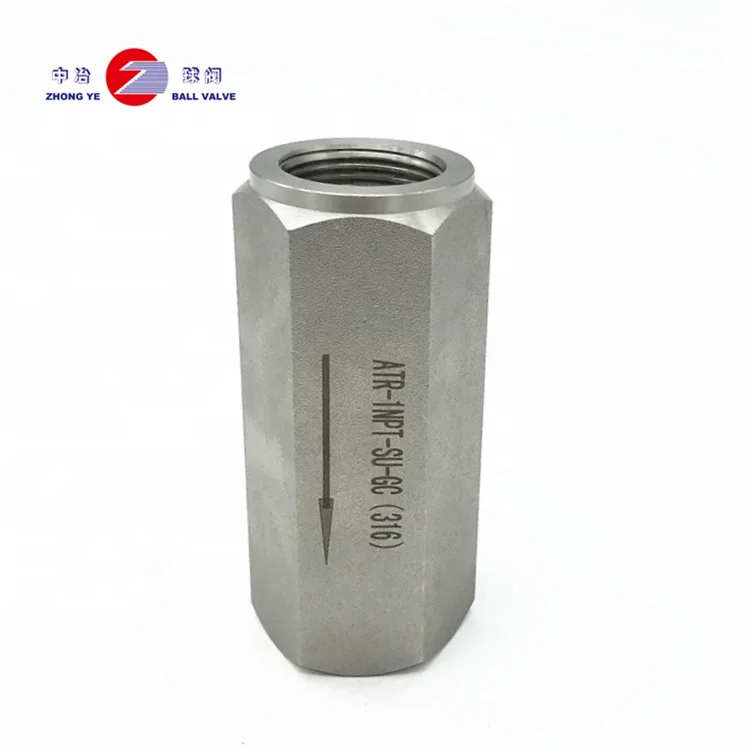 Manufactory direct check  High pressure ss304 non return straight female thread horizontal check valve