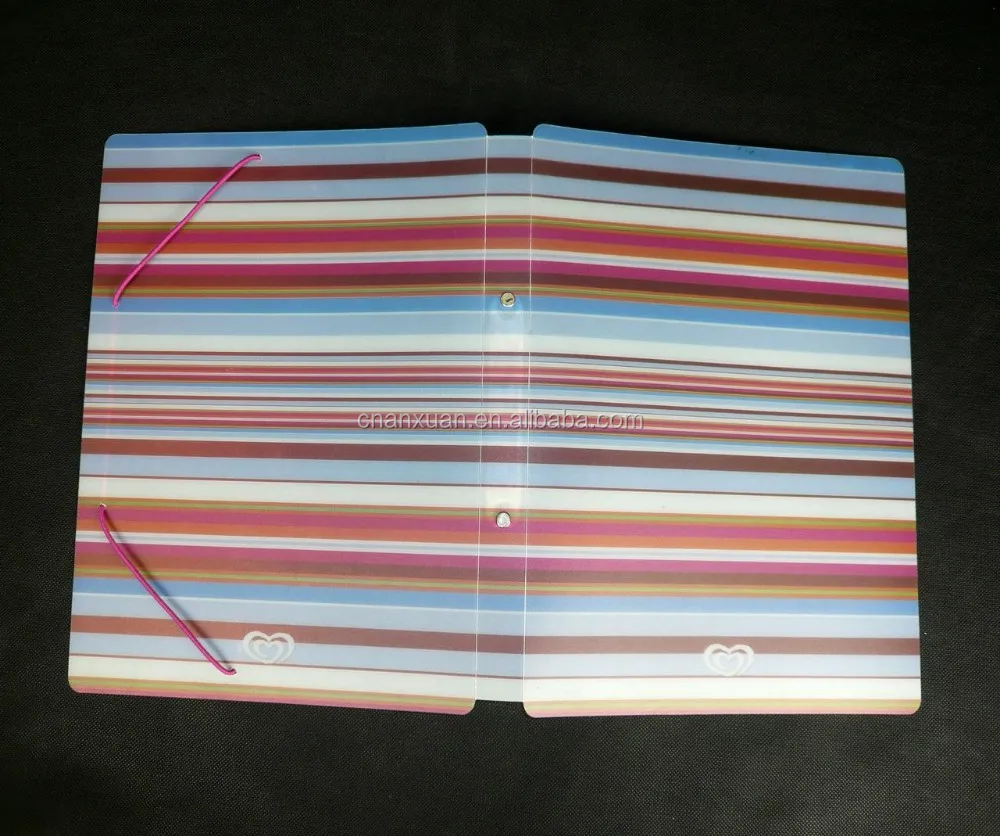 PP clip file,pp clip folder, A4 stationery folder