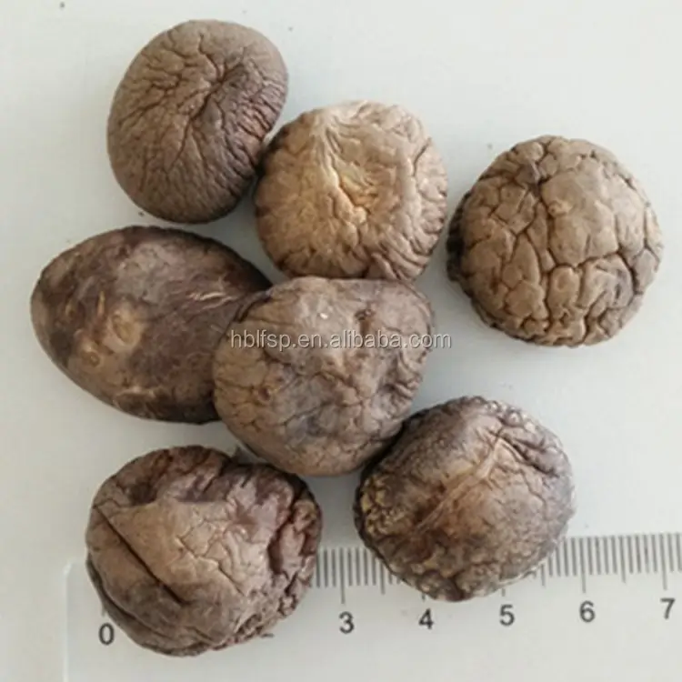 
Dried Shiitake Mushroom 3KGS to Japan 