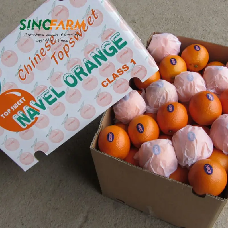 Citrus Fruit Baby Mandarin Orange With Wholesales Price