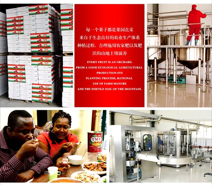 400g canned Tomato Paste