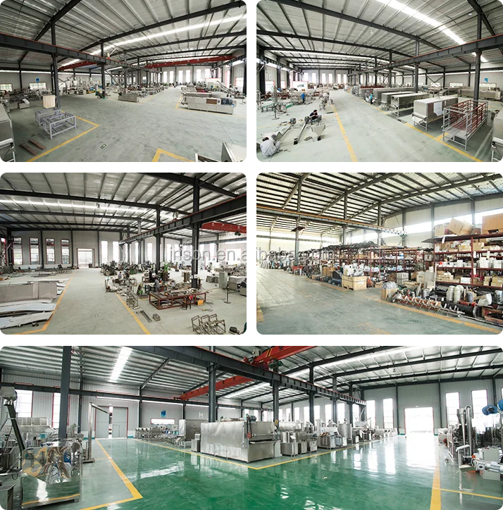 Saibainuo Automatic 100-1000kg/h big capacity pet food pet food extruder machine line