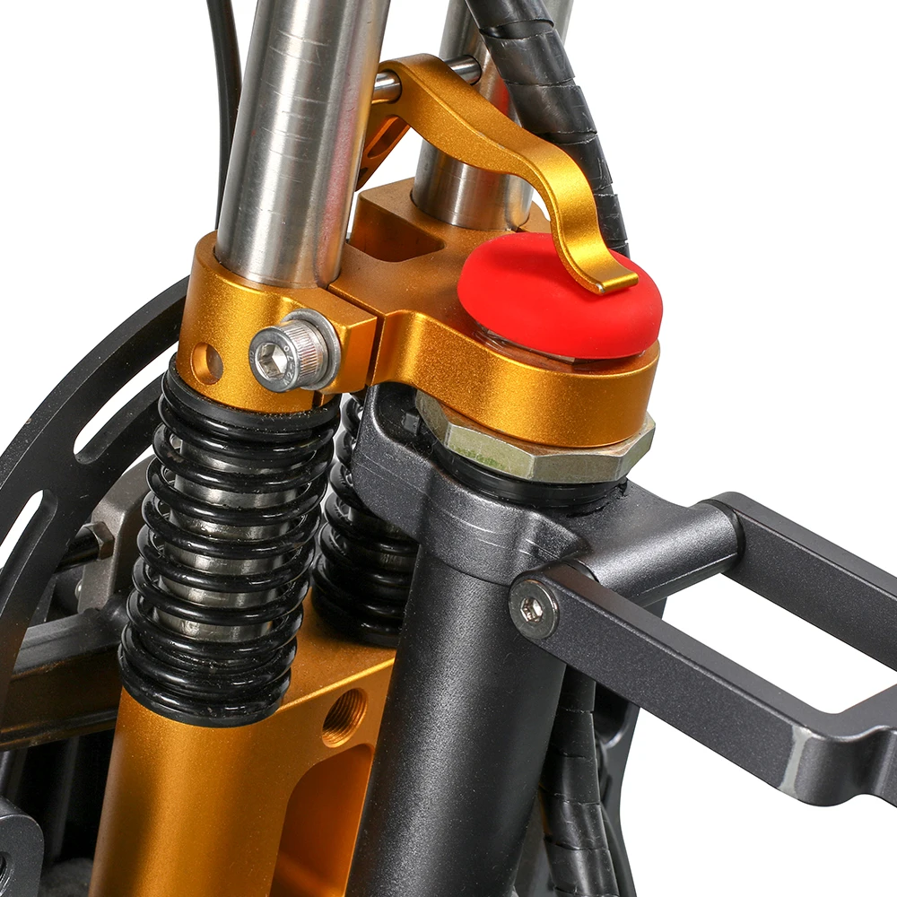 EcoRider E6-7 250W Electric Bike for Adult Electrical Motorcycle City Road Electric Bicycle