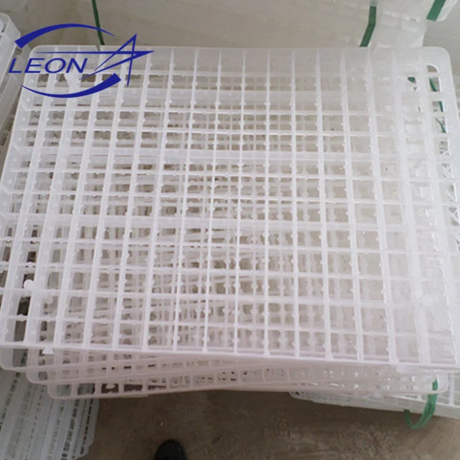 Egg tray for quail / 100% pure plastic quail egg tray for hatching
