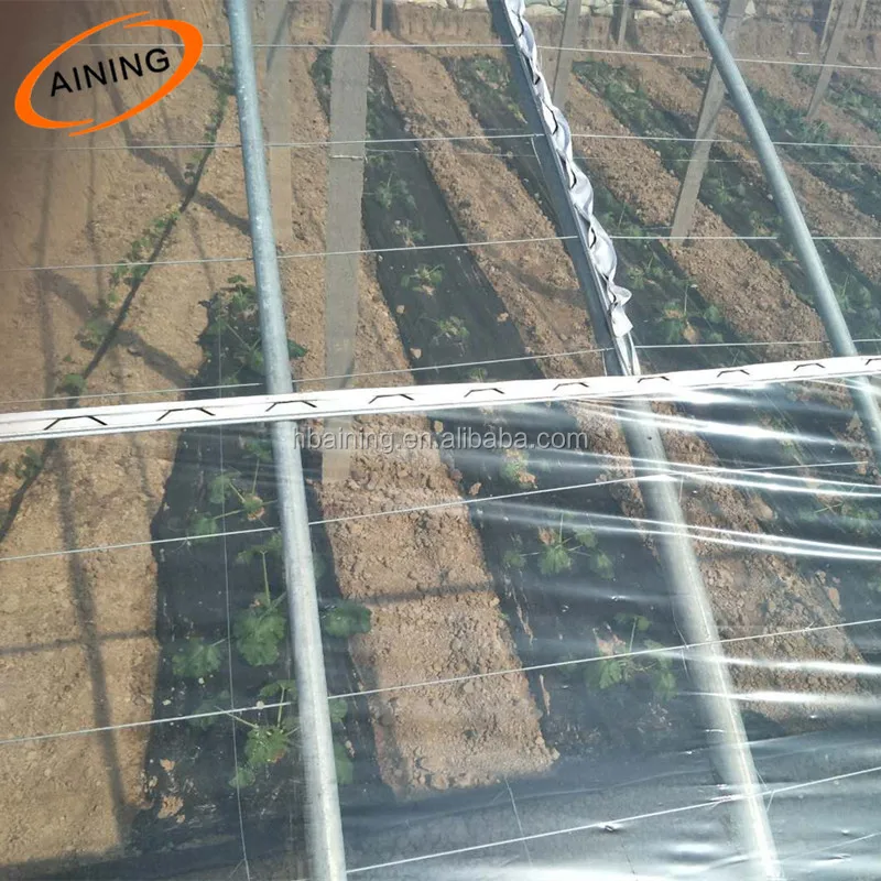 etfe 200 micron uv resistant plastic film greenhouse for vegetables and flowers