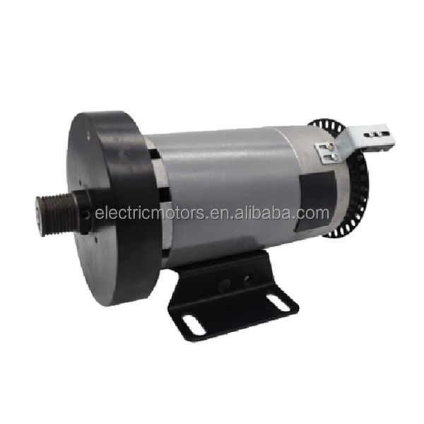 12V 200W DC Motor Low RPM Gear Motor 24V DC Motor