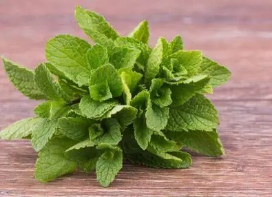 
menthol crystals 99% natural 89-78-1/menthol 25kg drum/menthol crystal plant extract 