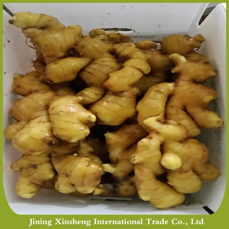 
Fresh ginger specification 