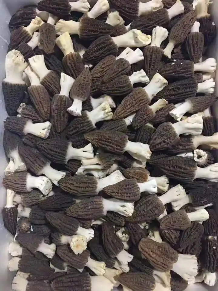 Factory Price Black Dry Morel Mushrooms Himalayan Morel Mushroom