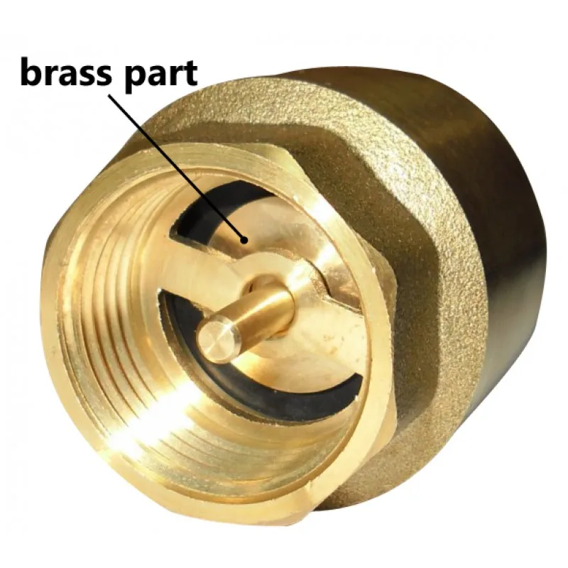 Brass Body Europa Spring Check Valve