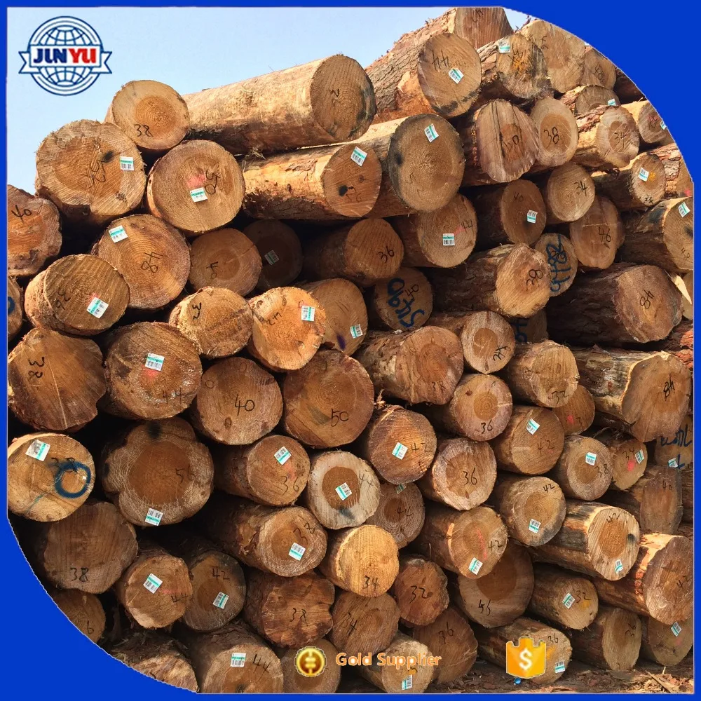 kaingaroa logging company export log uses for pine logs pinus radiata australia