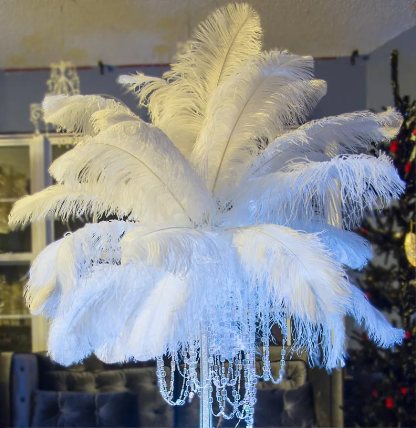 28-30in/70-75cm Ostrich Pluma Black Cheap Decoration Bleached White Ostrich Feathers