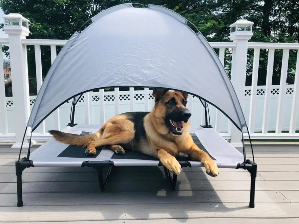 
Pet dog bed trampoline hammock cot elevated pet beds for large dogs 