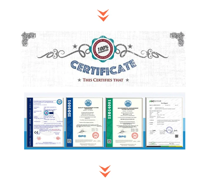 Picture 68309672.jpg