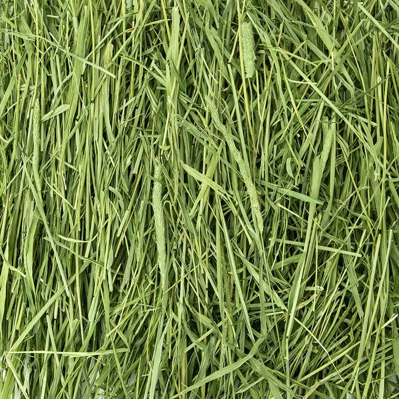 
Joy & Fiber Pet Food Rabbit Feeding Hay Canada Best Rabbit Hay For Rabbits 